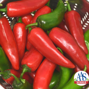 Hybrid Pepper Pot-a-Peno