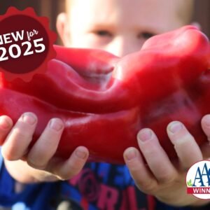 Hybrid Pepper, Red Impact