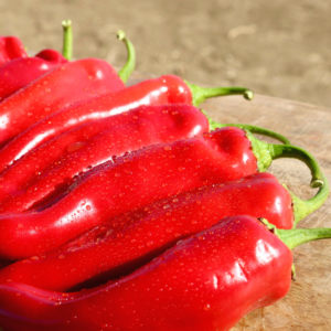 Hybrid Pepper Sahuaro Biggie Chili