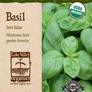 Basil Sweet Italian