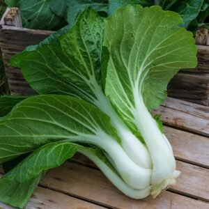 Pak Choi, Bopak Hybrid