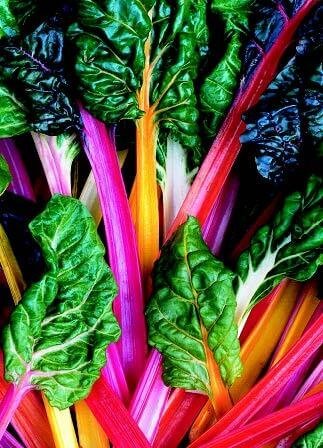 Swiss Chard Bright Lights