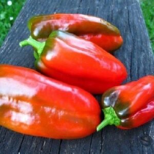 Sweet Doux d' Espange