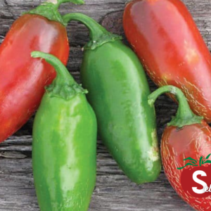 Pepper, Early Jalepeno