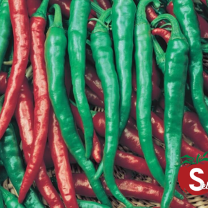 Pepper, Cayenne Long Red Slim