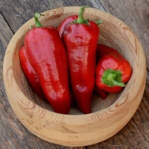 Sweet Italian, Jimmy Nadero