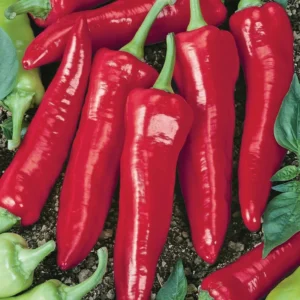 Numex Big Jim Pepper