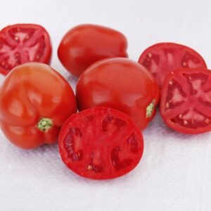 Saucy Lady Tomato