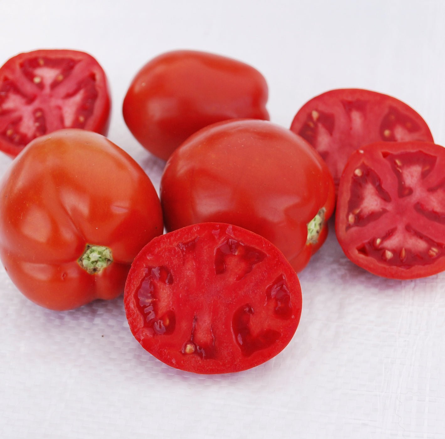 Saucy Lady Tomato