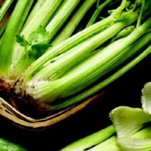 Celery Golden, Self-Blanching