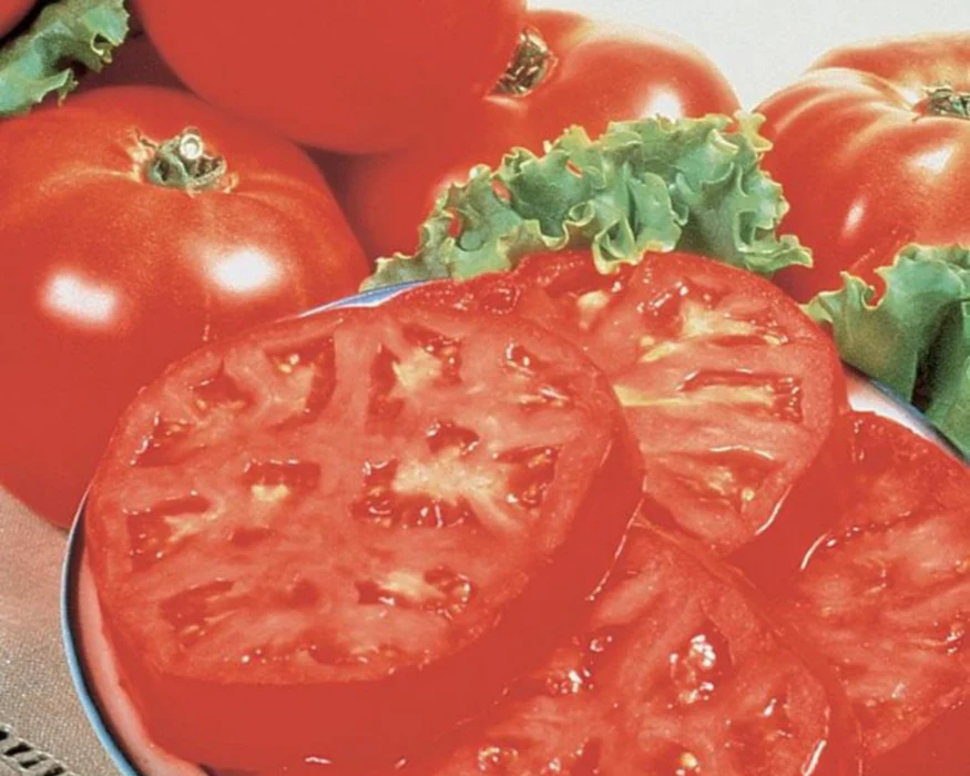 Burpees Supersteak Tomato
