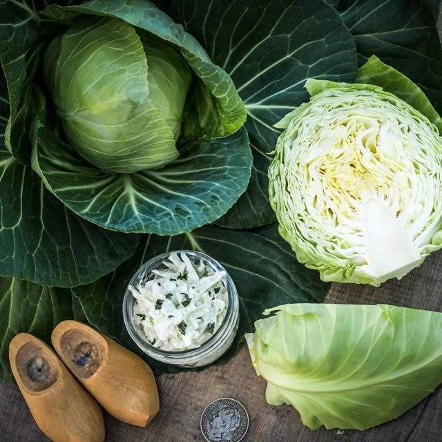 Cabbage Glory Of Enkhuizen