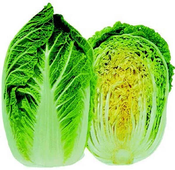 Chinese Cabbage, (Napa, Sui Choy)