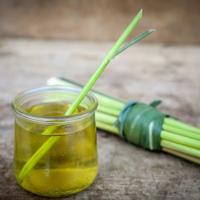 Lemon Grass