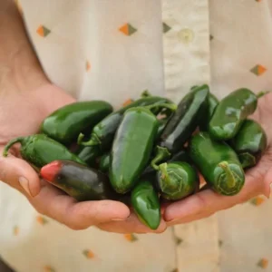 Nadapeno, Sweet pepper