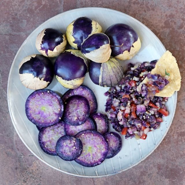 Tomatillo, Purple