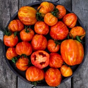 Get Stuffed, Striped orange & red Stuffing tomato