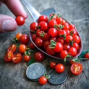 Spoon Cherry Tomato