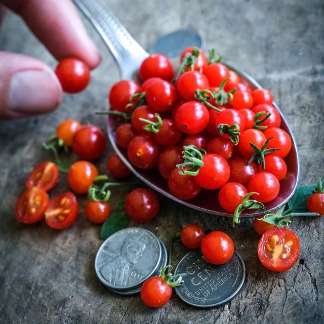 Spoon Cherry Tomato