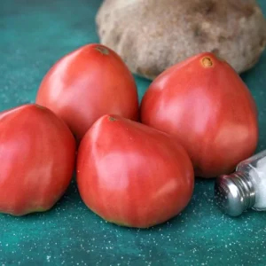 Bread & Salt Tomato