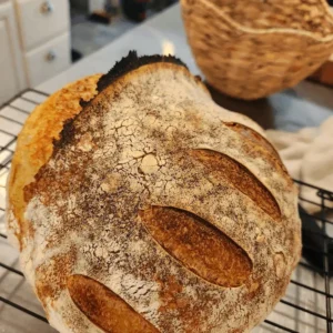 Artisan Sourdough Boule